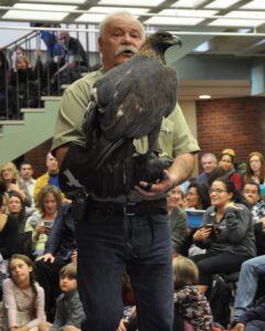 Tom Ricardi handles an injured turkey vulture at a UMass presentation.